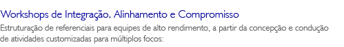 Workshops de Integra��o, Alinhamento e Compromisso - Estrutura��o de referenciais para equipes de alto rendimento, a partir da concep��o e condu��o de atividades customizadas para m�ltiplos focos: