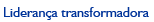 Lideran&ccedil;a transformadora